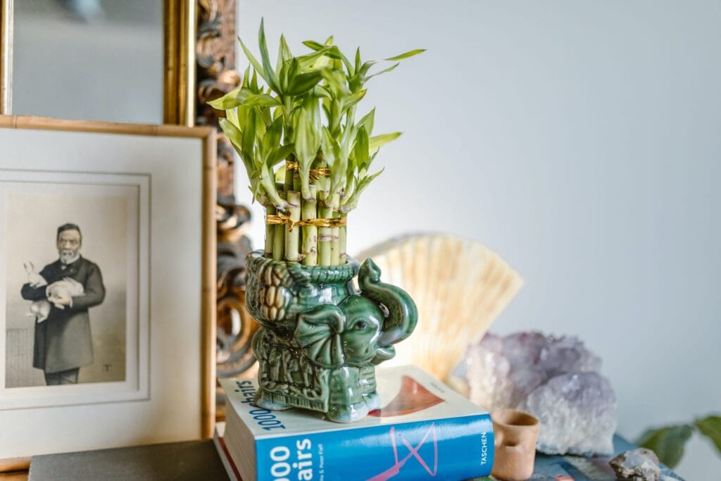 Símbolos da sorte do Feng Shui