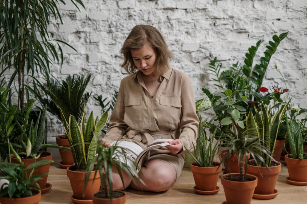 7 plantas de defesa que você precisa ter em casa!