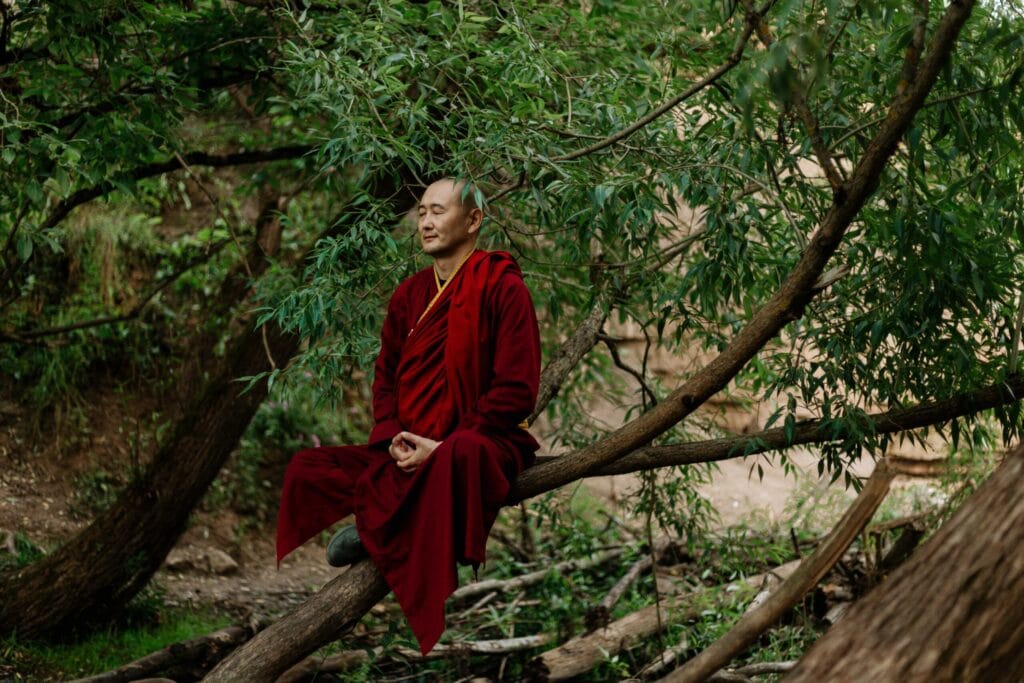 Meditação Budista
