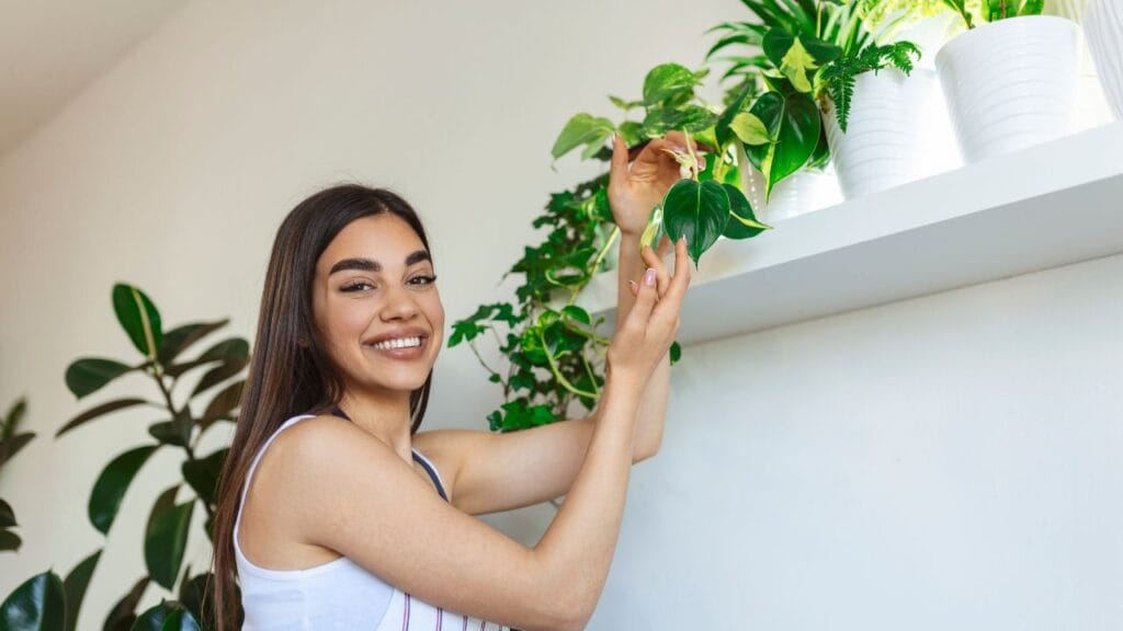 Plantas que atraem prosperidade, segundo o Feng Shui