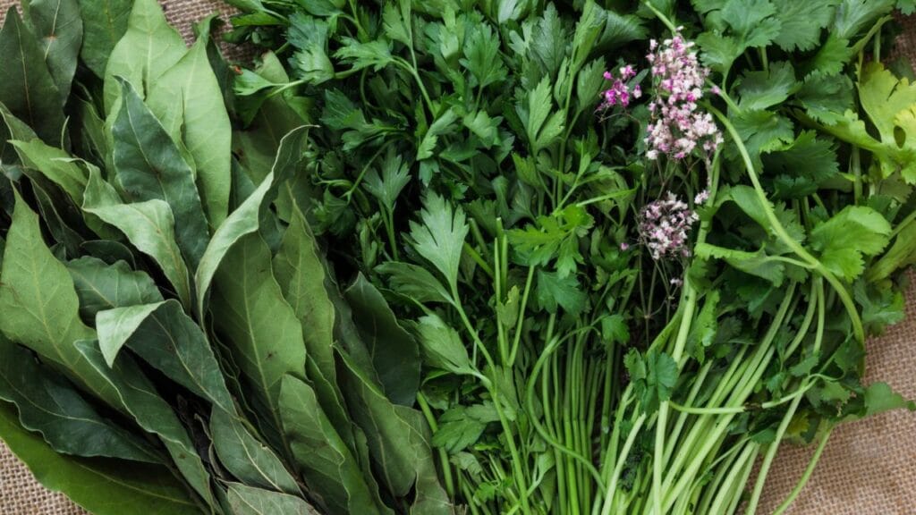 5 banhos de ervas para aliviar ansiedade e tensões