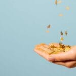 Signos que podem prosperar em Novembro