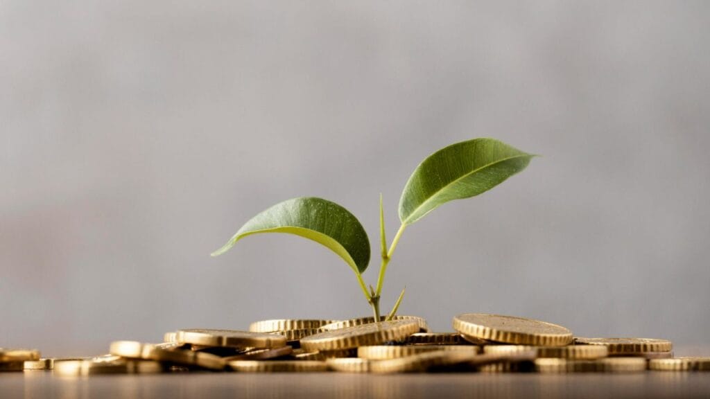 7 formas de atrair prosperidade usando apenas elementos naturais