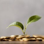 7 formas de atrair prosperidade usando apenas elementos naturais