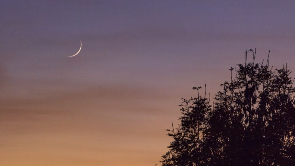 Lua Nova em Capricórnio: o que você precisa para criar a vida dos seus sonhos